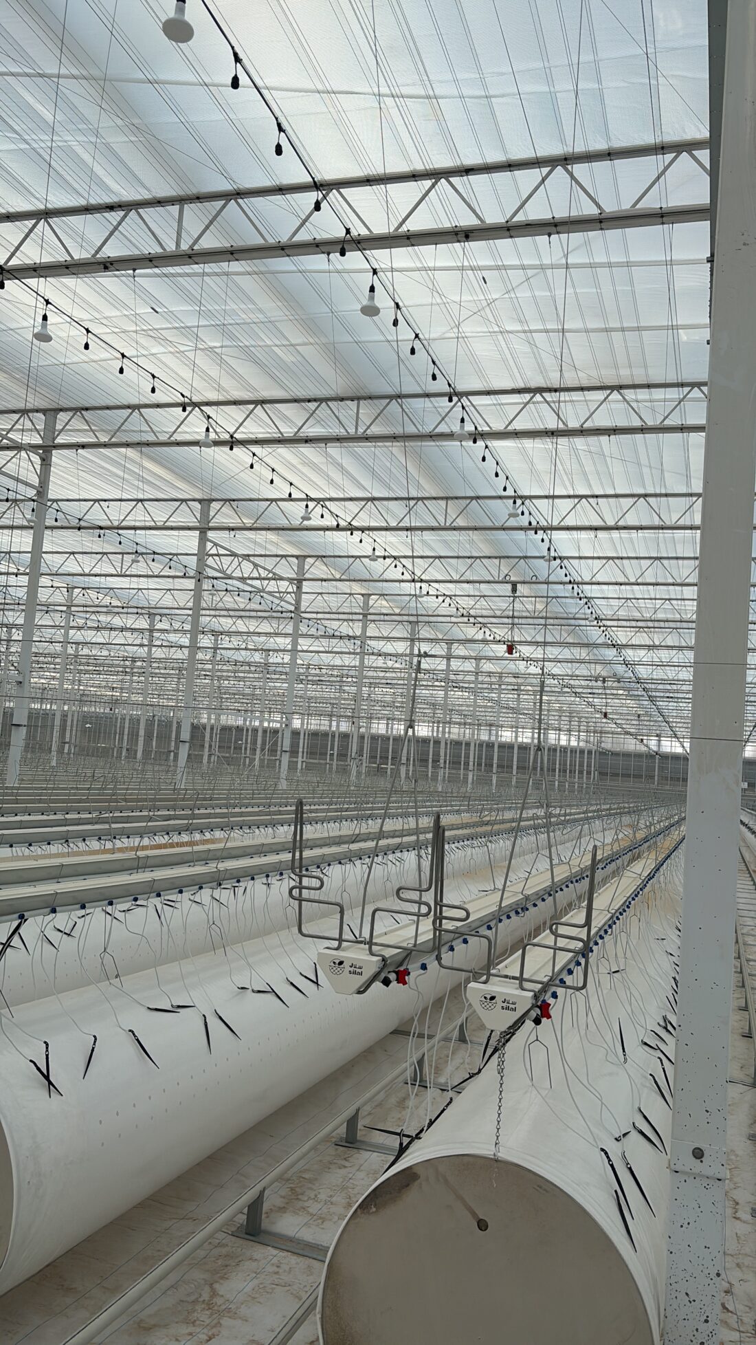 Project Ag Tech Abu Dhabi