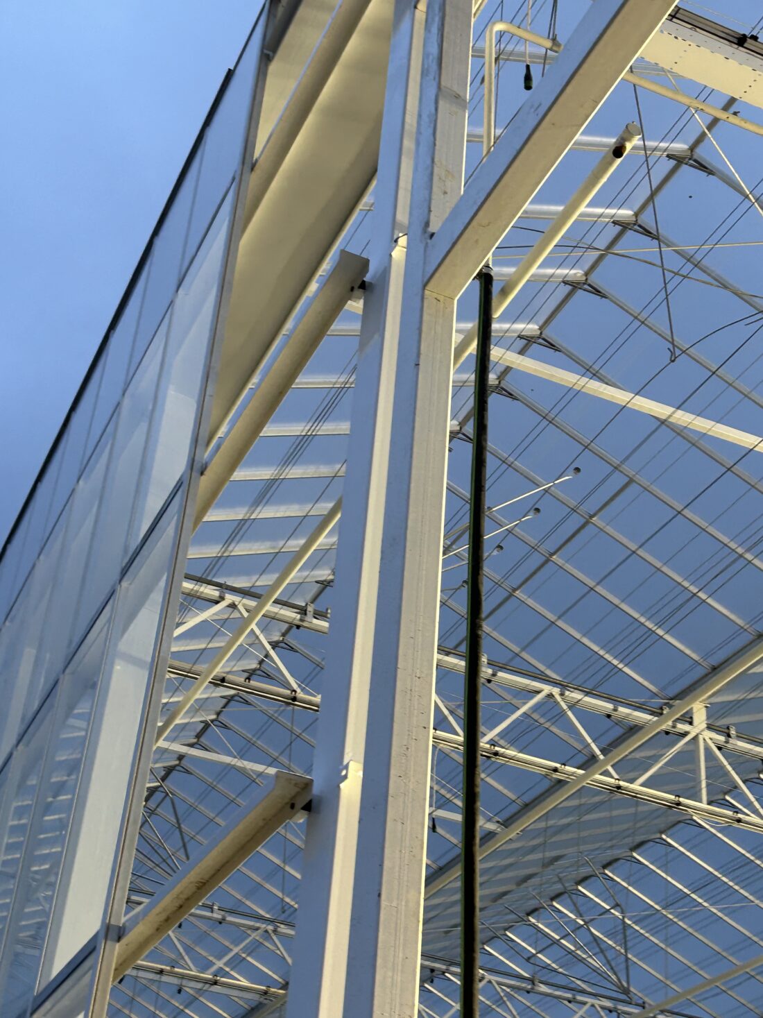 Project Nieuwbouw Kas Tg 7 Thanet Earth Uk