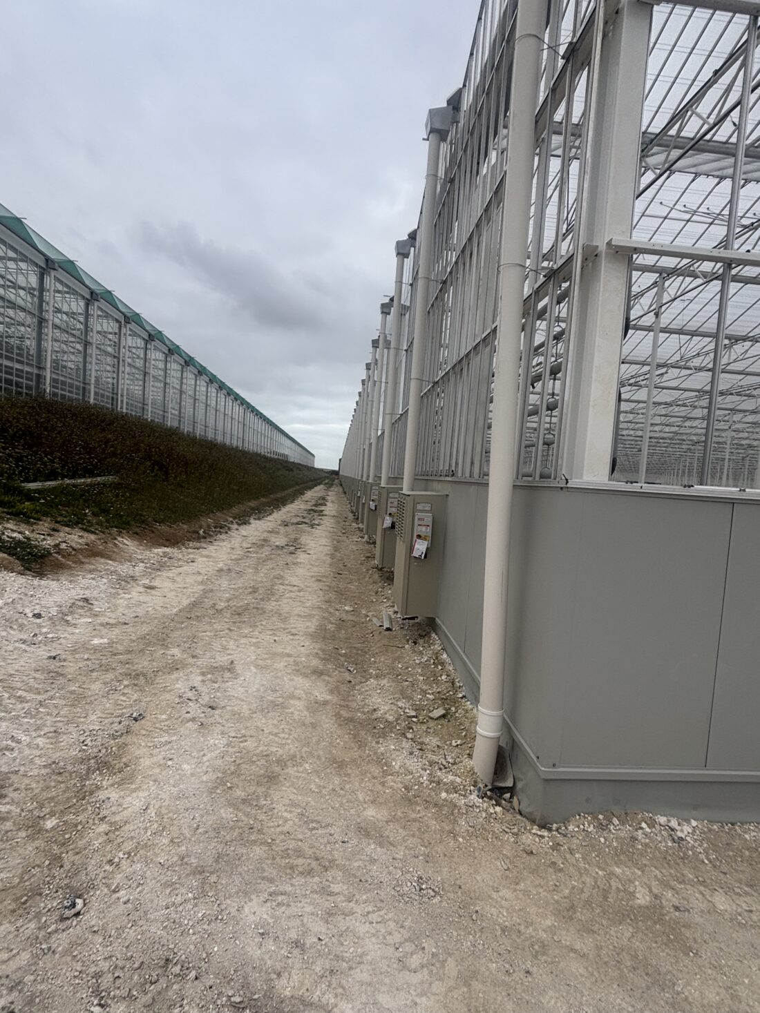 Project Nieuwbouw Kas Tg 7 Thanet Earth Uk