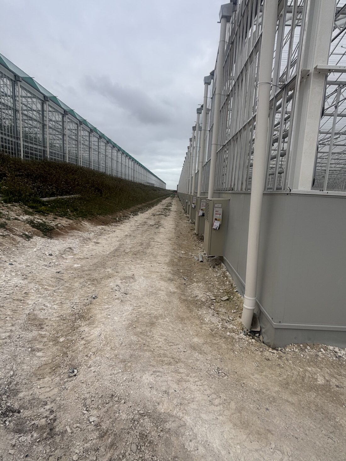 Project Nieuwbouw Kas Tg 7 Thanet Earth Uk