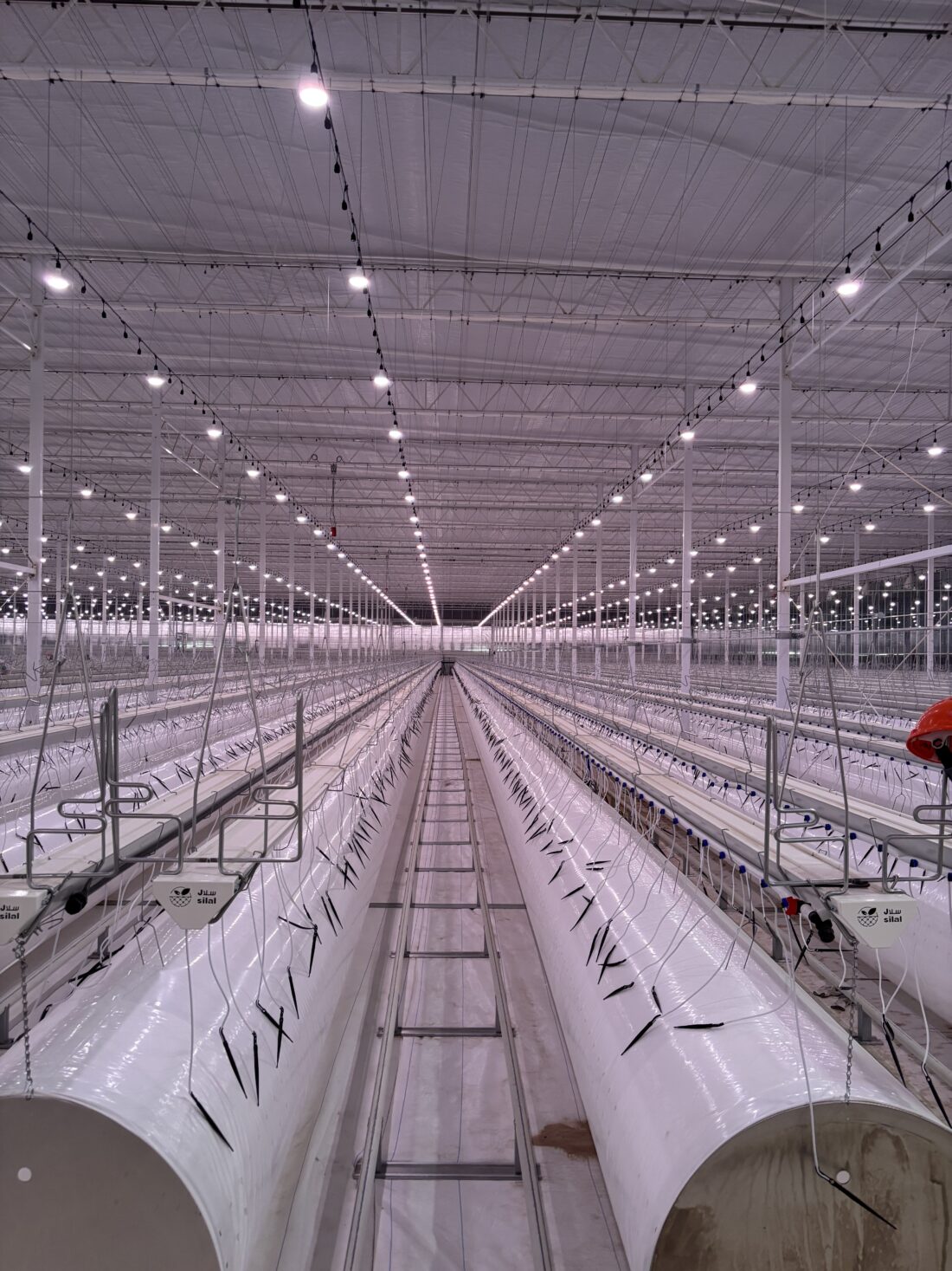 Project Ag Tech Abu Dhabi