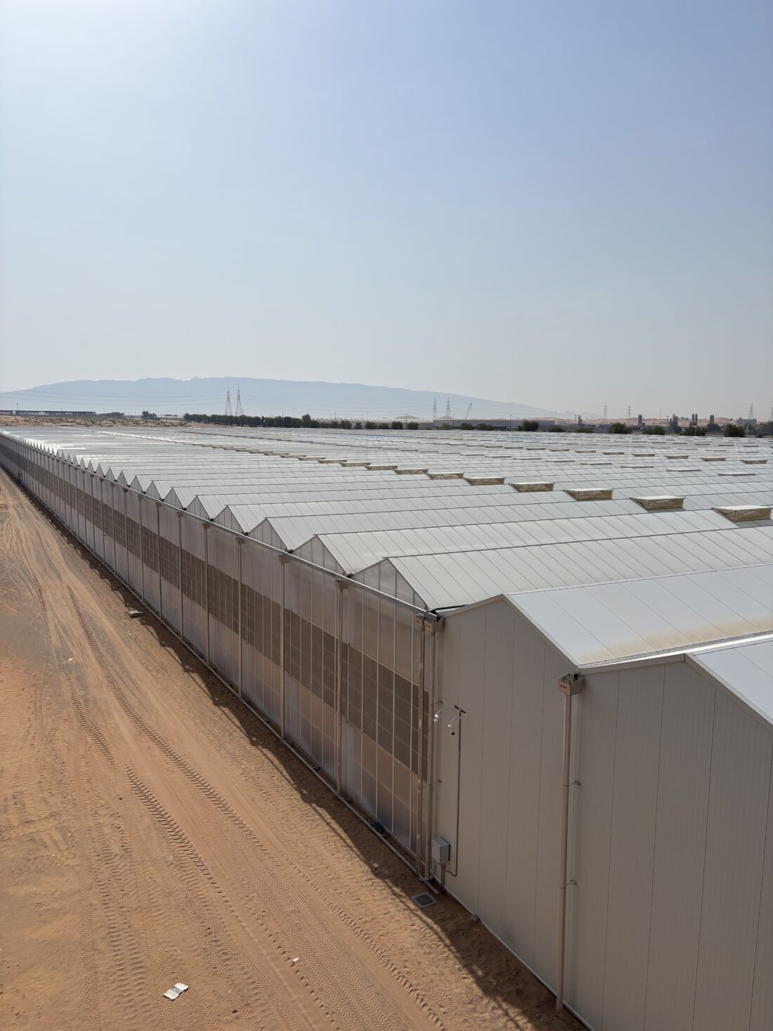 Project Ag Tech Abu Dhabi