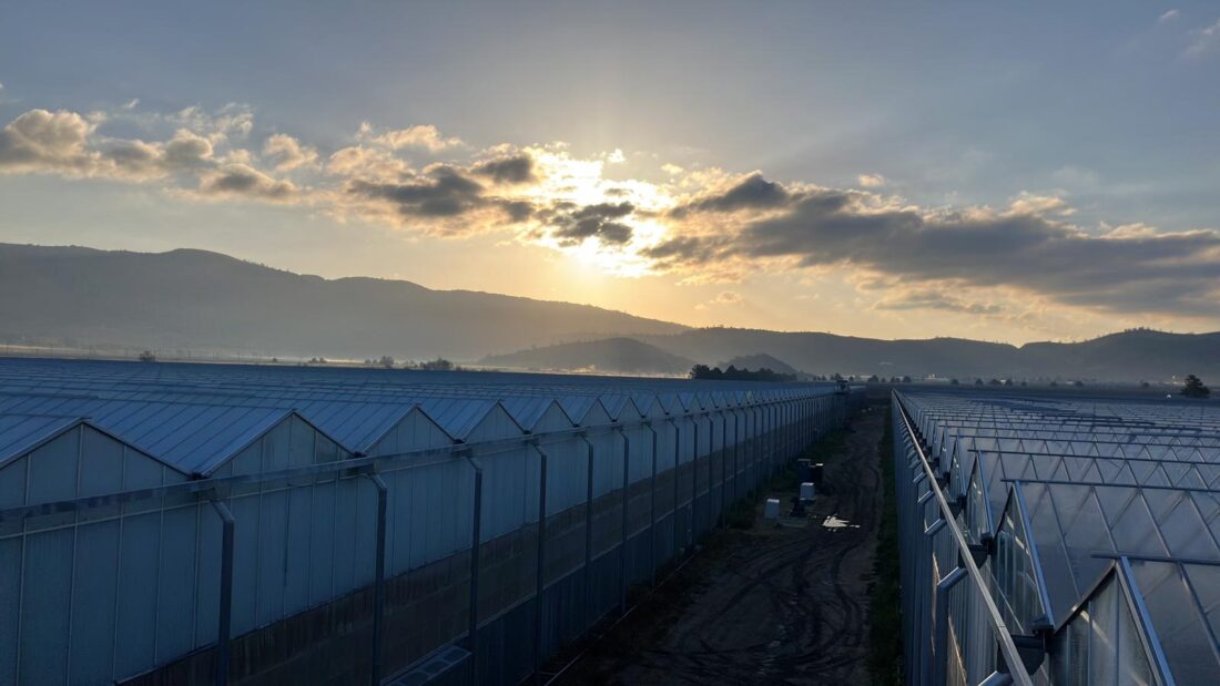 Project Tehachapi Usa